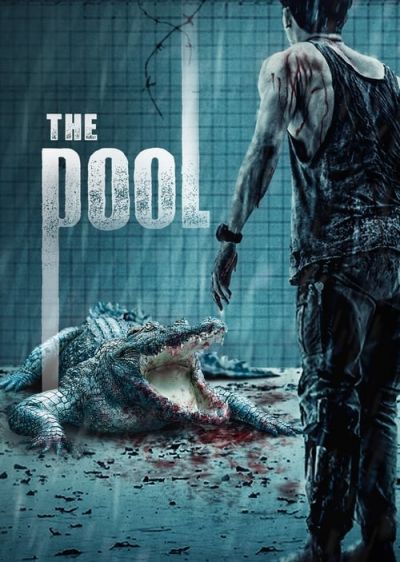 دانلود فیلم استخر The Pool با پخش آنلاین و زیرنویس چسبیده