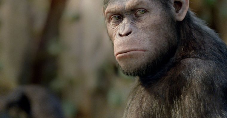 دانلود فیلم ظهور سیاره میمون ها Rise of the Planet of the Apes با پخش آنلاین و دوبله فارسی