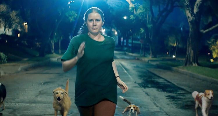 دانلود فیلم مادر گرگ نما Nightbitch