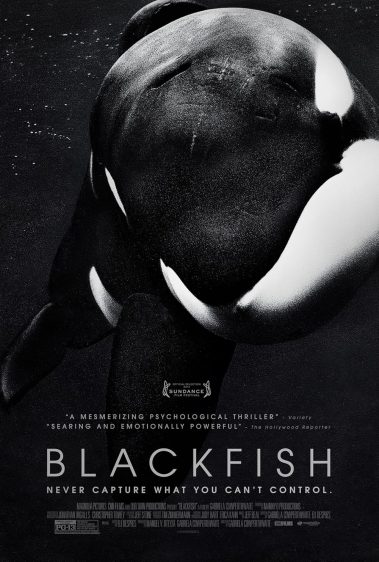 دانلود فیلم ماهی سیاه Blackfish با پخش آنلاین و زیرنویس چسبیده
