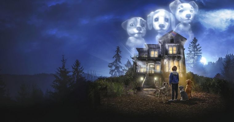 دانلود سریال توله سگ‌های شبحی Phantom Pups با پخش آنلاین و دوبله فارسی