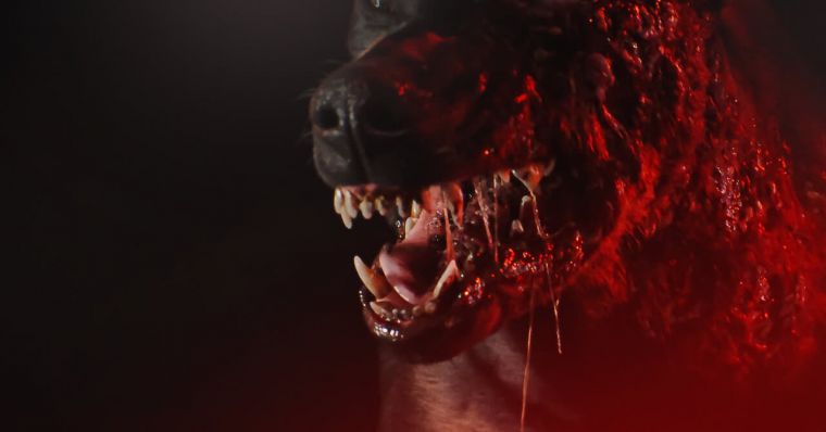 دانلود سریال رزیدنت ایول Resident Evil با پخش آنلاین و دوبله فارسی