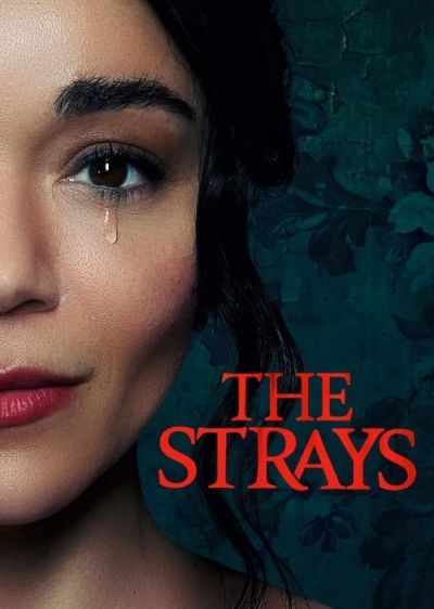 دانلود فیلم ولگردها The Strays با پخش آنلاین و دوبله فارسی