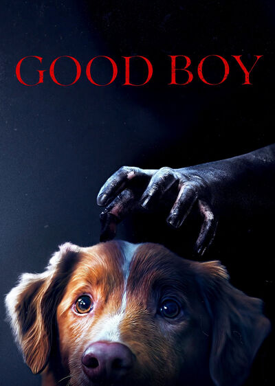 دانلود فیلم پسر خوب با زیرنویس چسبیده